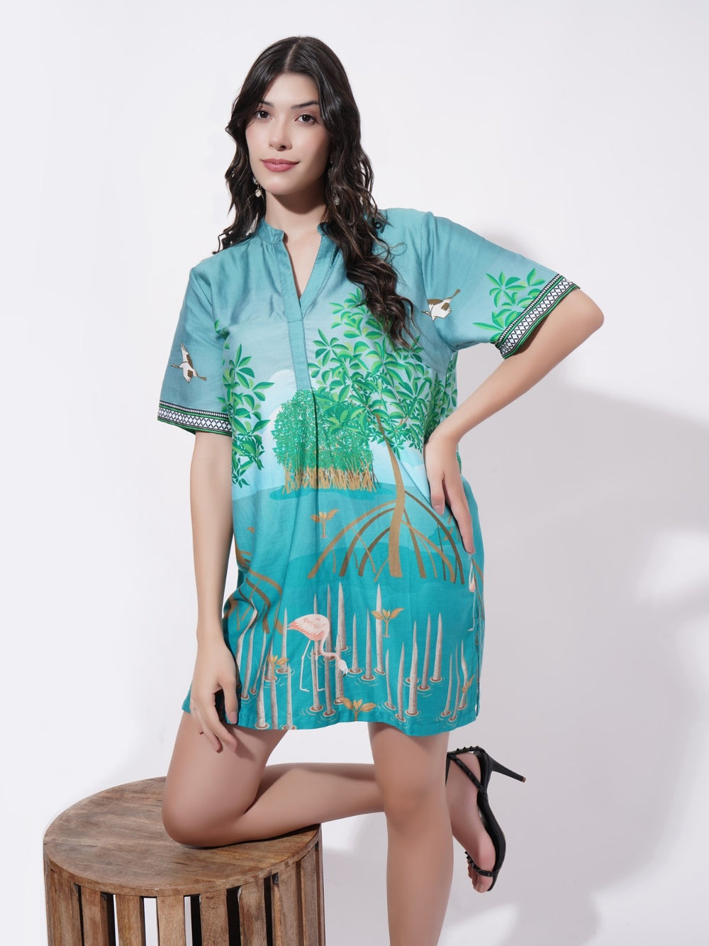 Roots & Reflections Short Dress